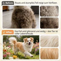Neue 2-in-1 Haustierbad- und Pflegebürste