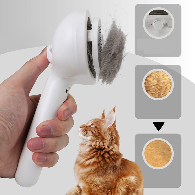 Spray-Katzenbürste