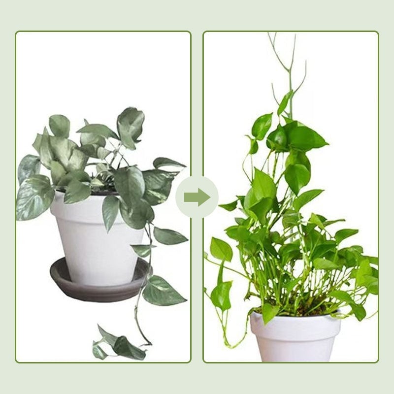 Plant climbing pole