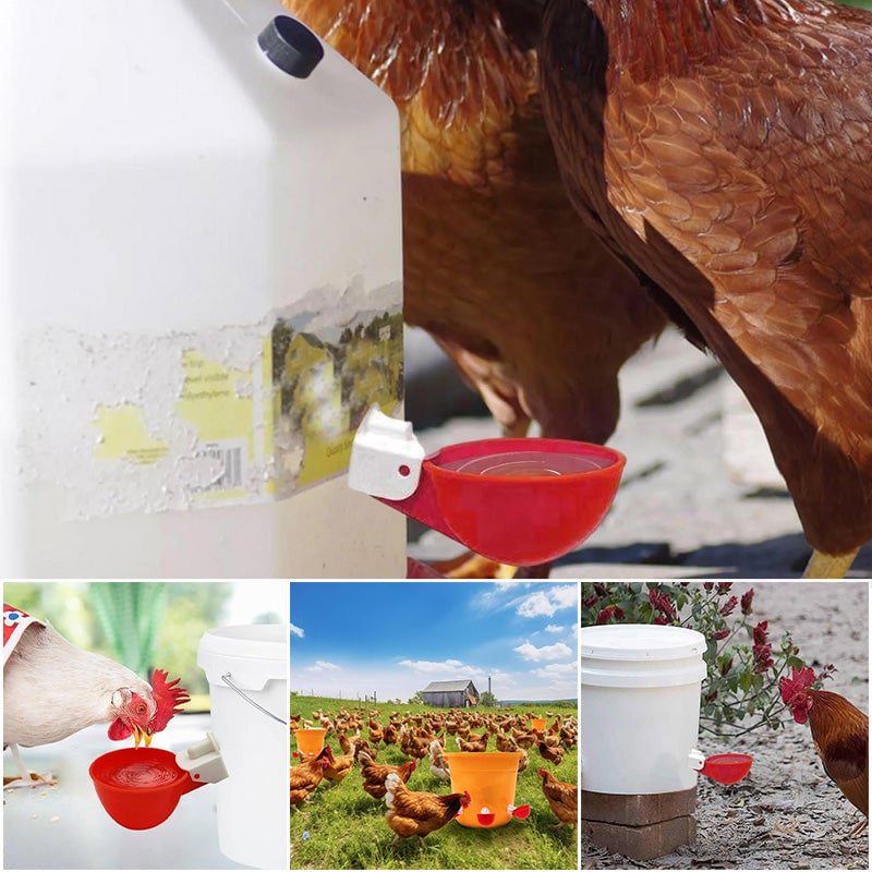 Automatic Chicken Water Cups