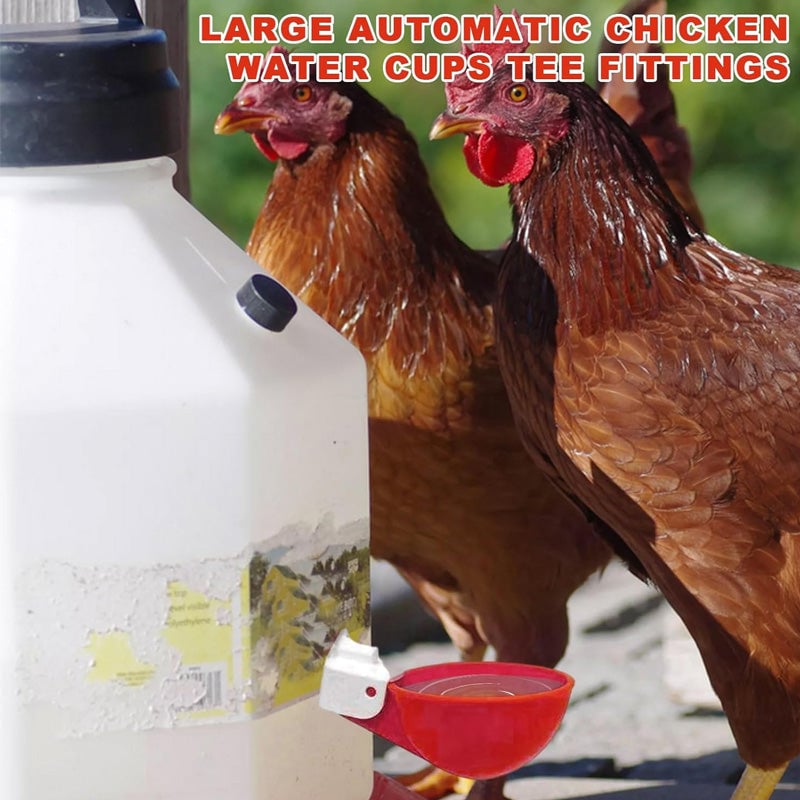 Automatic Chicken Water Cups