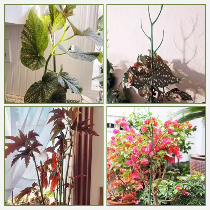 Plant climbing pole
