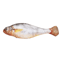 Bite-Sized Realistic Flopping Fish Cat Toys