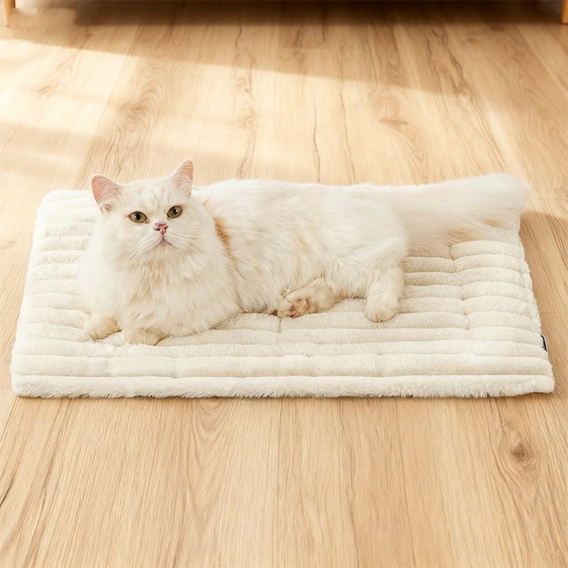 🐾Tapis auto-chauffant pour chats et petits chiens