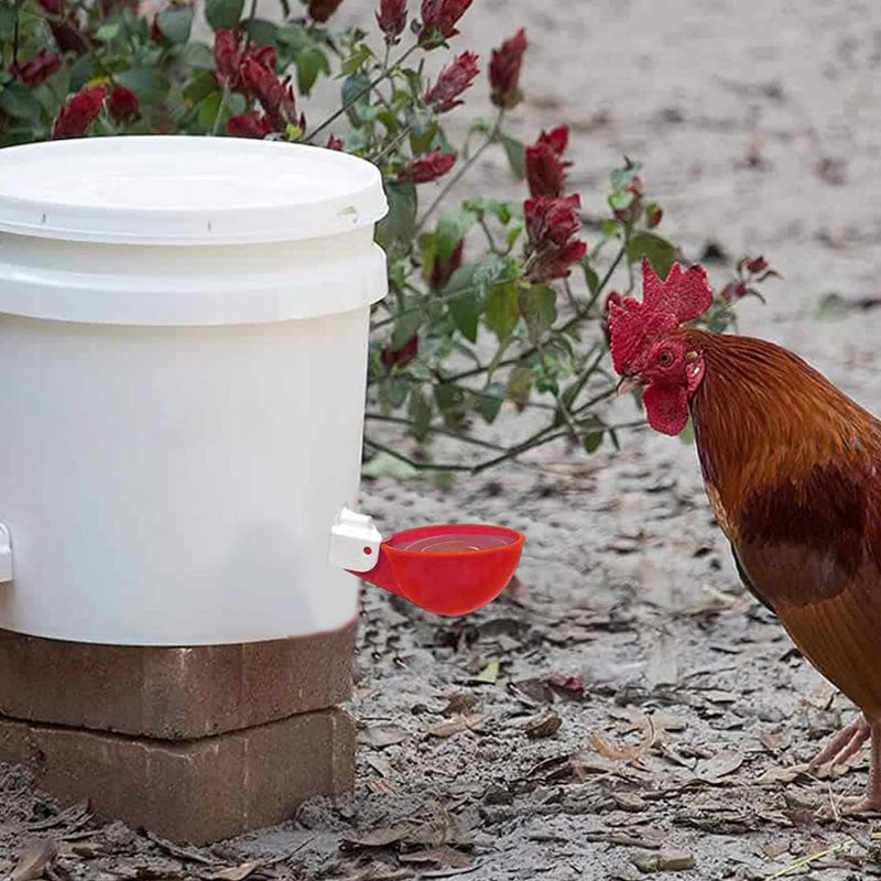 Automatic Chicken Water Cups