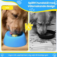 Långsammatande Flytande Hundskålar
