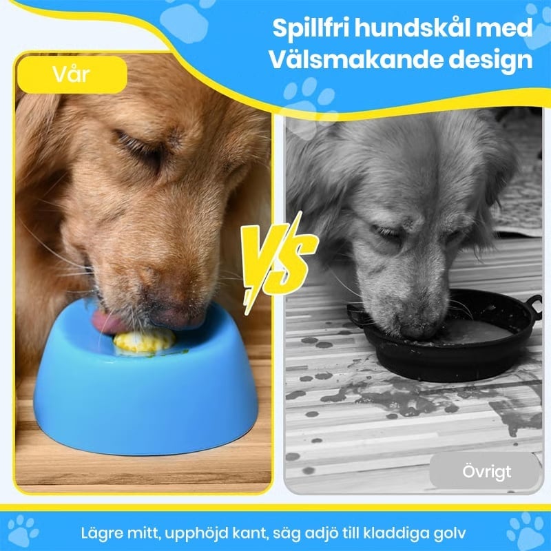 Långsammatande Flytande Hundskålar