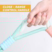 Dog reflective leash