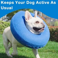 Inflatable Pet Cone Collar
