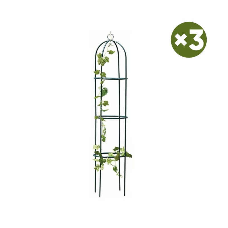 Garden Trellis for Climbing Plants