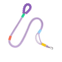 Dog reflective leash
