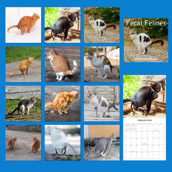 Katteafskræk kalender