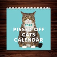 😾2024 Kalender med sure katte