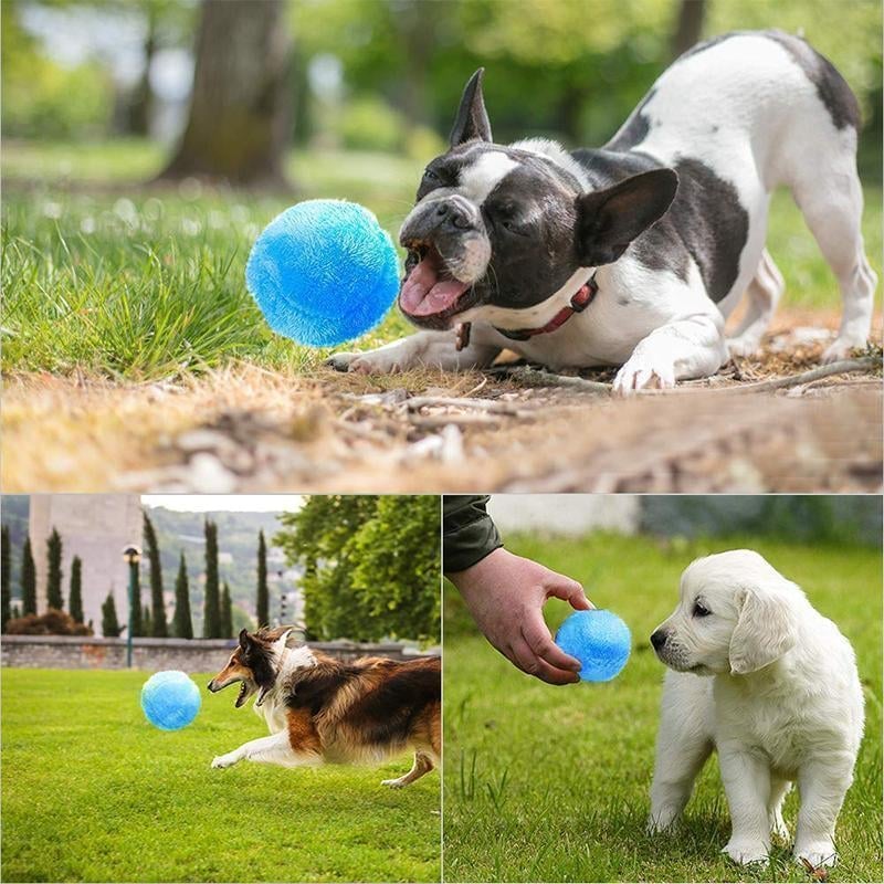 Hirundo® Magic Ball for Dogs