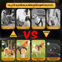 Hundeleine, mehrere Farben
