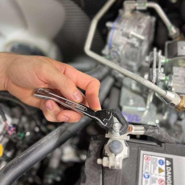 5349b640-480b-47bb-3fde-f43985871900