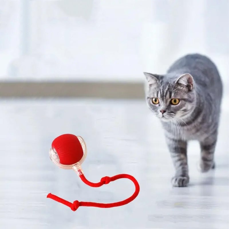Intelligent interaktiv lekeball for kjæledyr