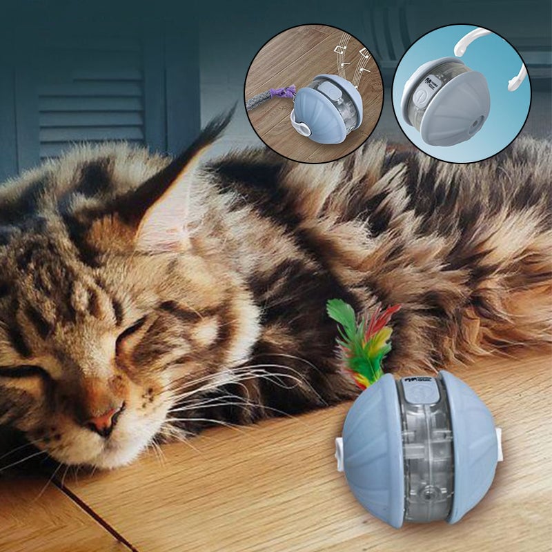 Intelligenter Pet Self-Play Spielball (Upgrade-Version)