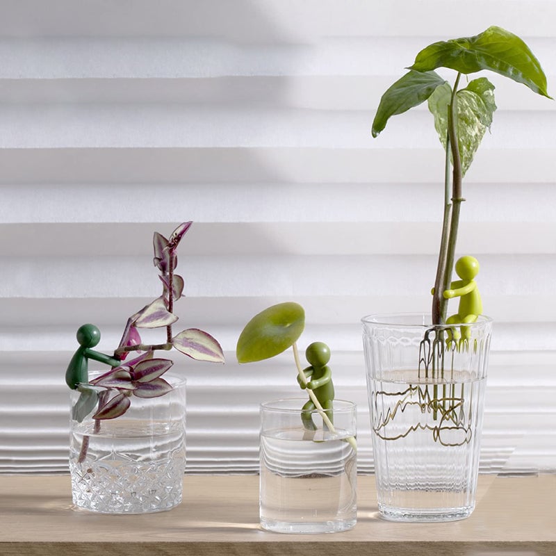 SALE - Plant Propagation Buddy
