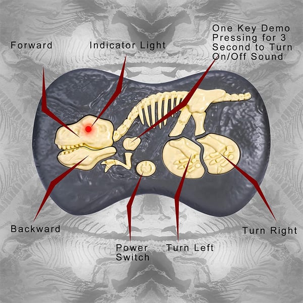 1_68baa313-acb1-487a-9941-deeedcfd6fb7