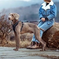 3_aafdca7c-2af0-4544-b42e-a6ff76a12a53