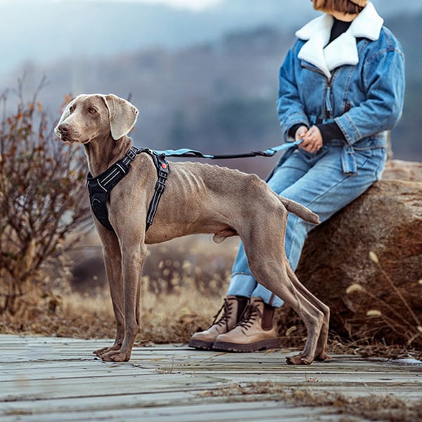 3_aafdca7c-2af0-4544-b42e-a6ff76a12a53