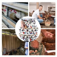 Multi-Pocket Eggs Harvest Working Aprons