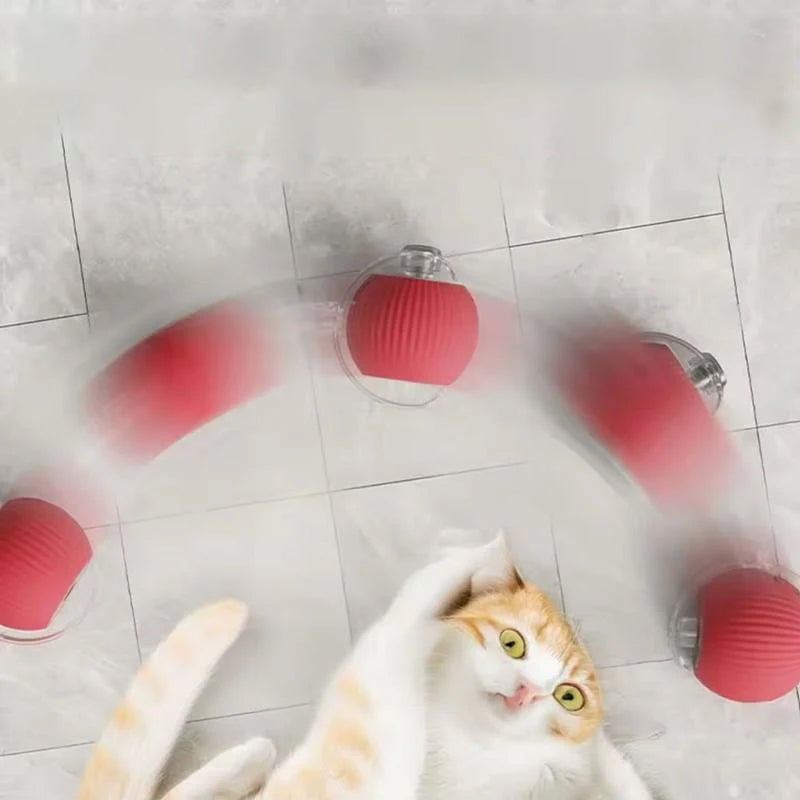 Smart Interaktiv Katteball