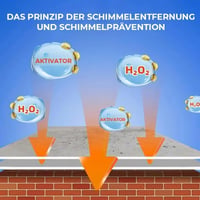 Schnell wirkendes Anti-Schimmel-Wandreinigungsspray