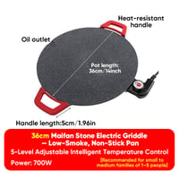 Non-Stick Electric BBQ Grill with Temperature Control