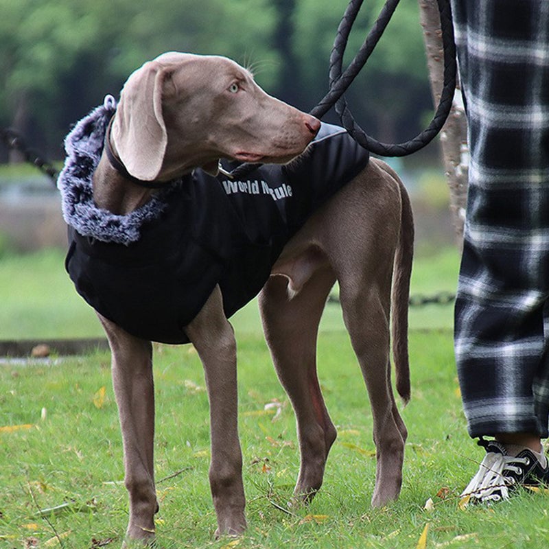 Pet Reflective Insulated Jacket