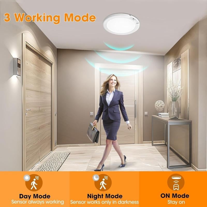Motion Sensor Ceiling Light
