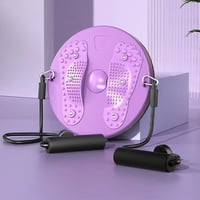 Magnetic Waist Twisting Disc with Resistance Bands
