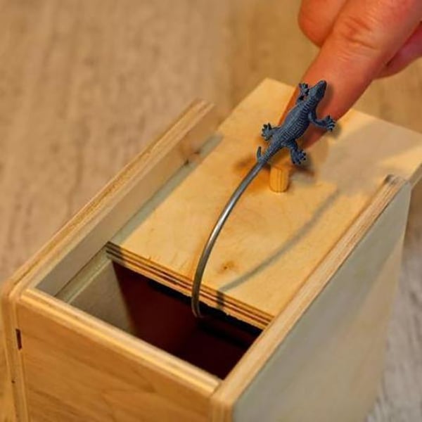 13ff8d2297358b5ba6603022a6339d56