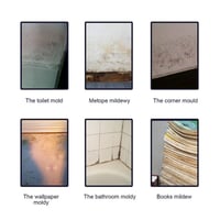 Sakerplus Mildew Cleaner Foam