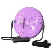 Magnetic Waist Twisting Disc with Resistance Bands