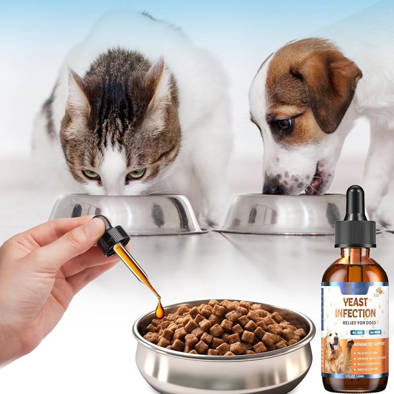 963aafba-7af2-48a5-1ffd-0e0dfd853600