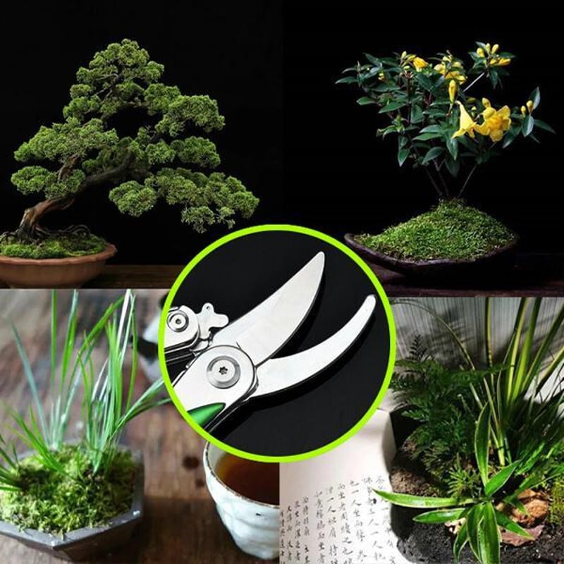 Saker-Multifunctional-Folding-Pruning-Grafting-Shears-3