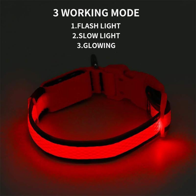 DOG LED COLLARS