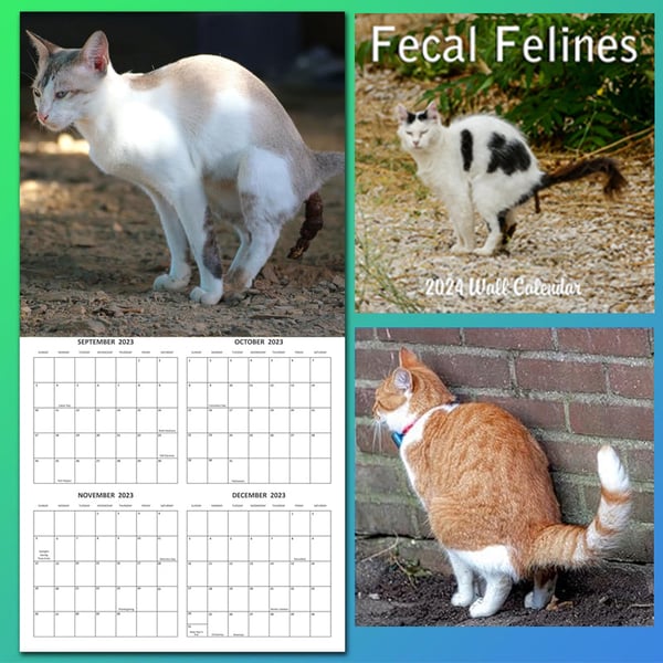 Katteafskræk kalender