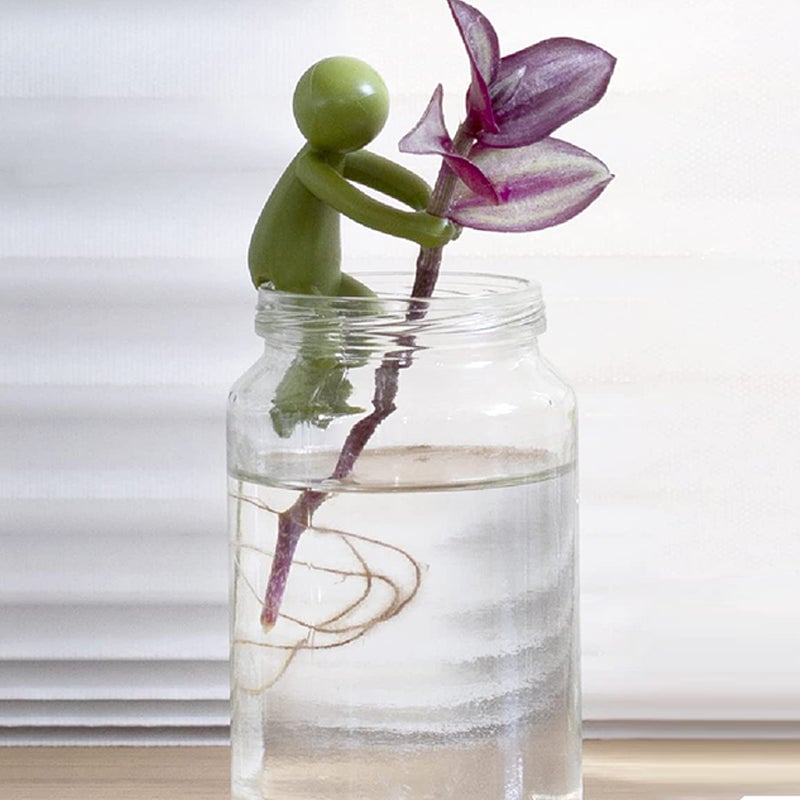 SALE - Plant Propagation Buddy