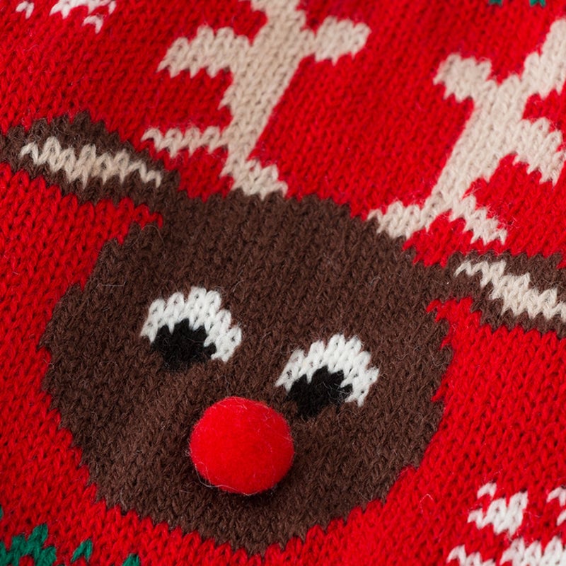 Vêtements Chauds de Noël pour Animaux de Compagnie