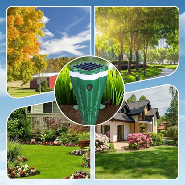 4_d593df2a-68d4-4649-859d-81a8c382f60c