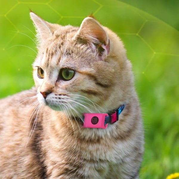 Flea and tick band – 12 months of protection