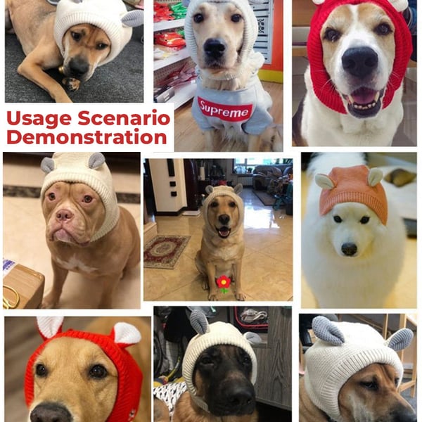 Dog Ear Muffs Noise-Protection Knitted Hat