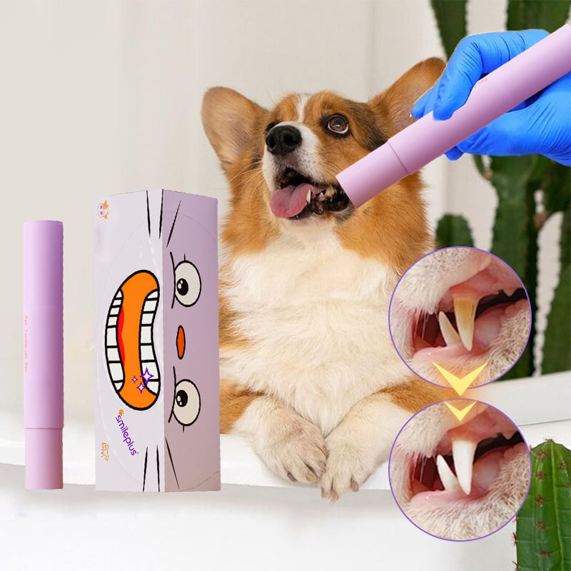 Pet Tooth Cleaning Pen – Toothpaste & Brush in One
