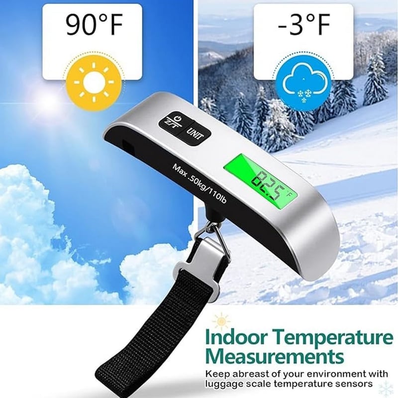 Handheld Electronic Scale