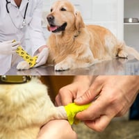 Nastro adesivo per animali domestici