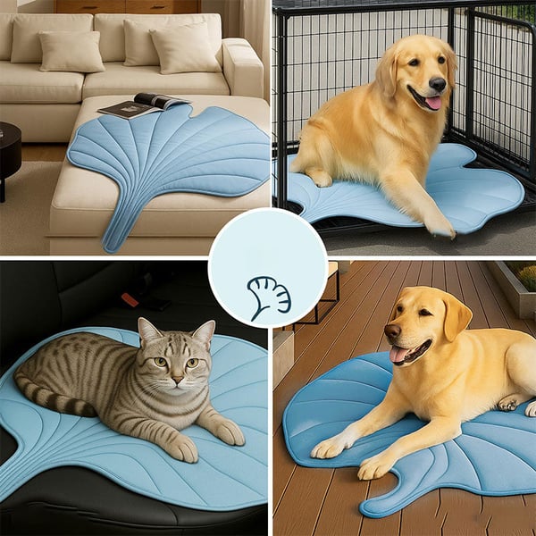 13_0c8cbcc5-da20-47fe-b83e-91dc0e13e89e