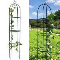 Garden Trellis for Climbing Plants
